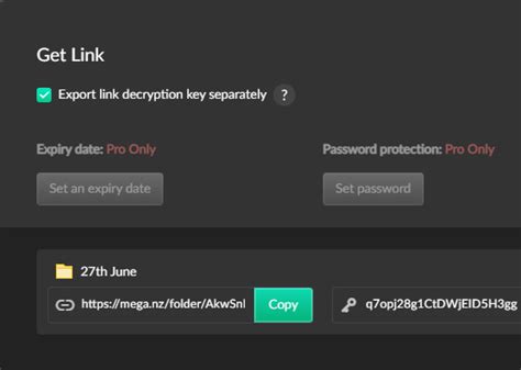 mega decryption key bypass|GitHub .